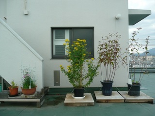 1104屋上全景R.jpg