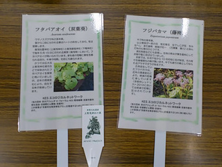 140712_1014~01.jpg